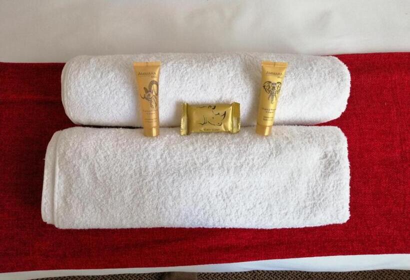 Mapungubwe Hotel Apartments Marshalltown