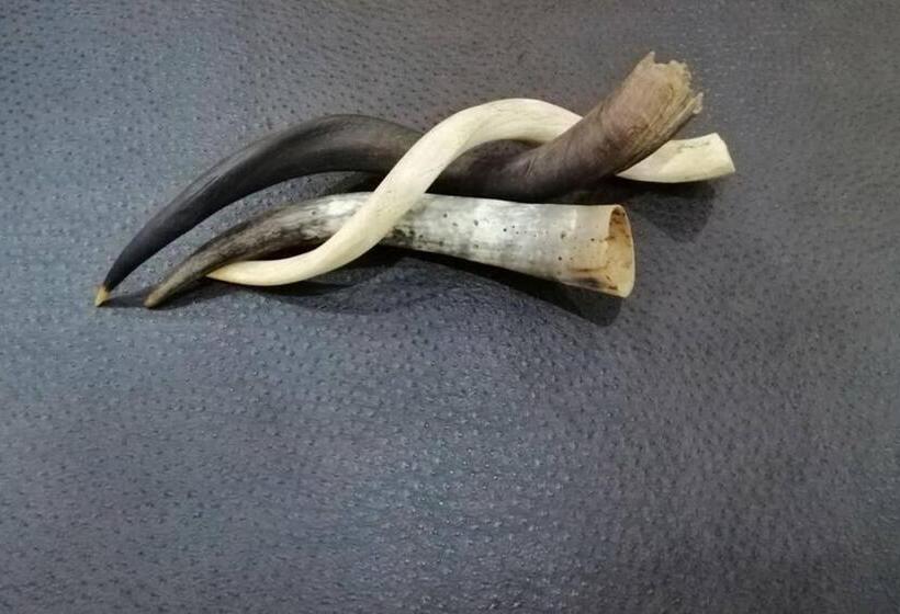 Mapungubwe Hotel Apartments Marshalltown