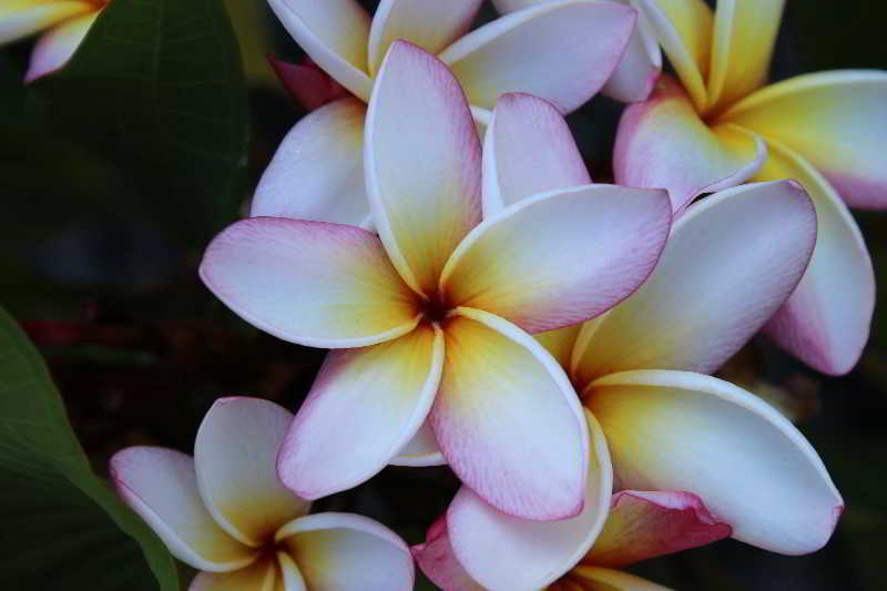 酒店 Meili Beach Resort