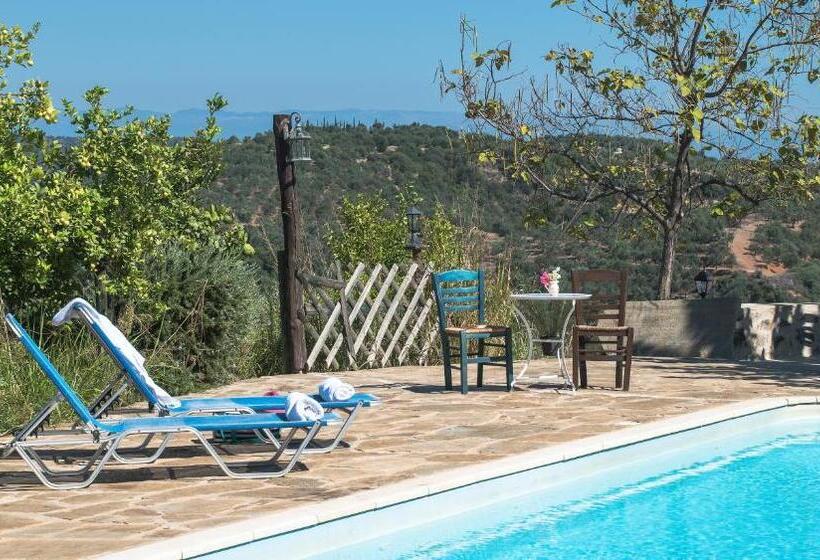 בית מלון כפרי Petropoulakis Tower