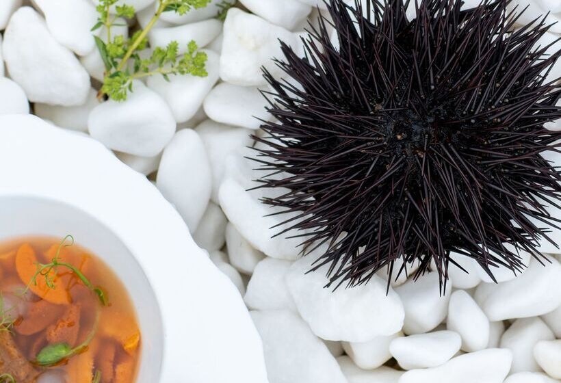 בית מלון כפרי Pomegranate Wellness Spa