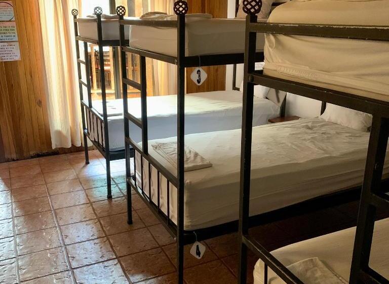 فندق Poshtel Arenal