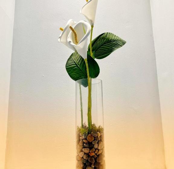 فندق Poshtel Arenal