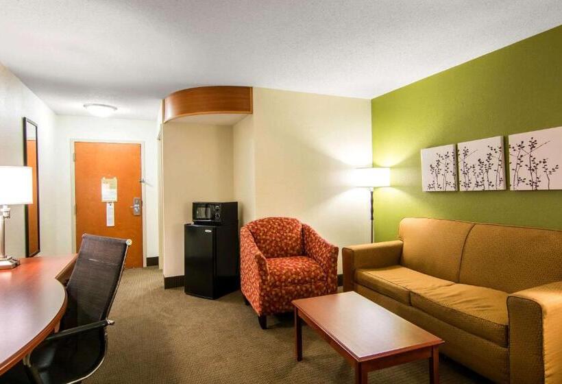 هتل Sleep Inn & Suites Near Fort Greggadams