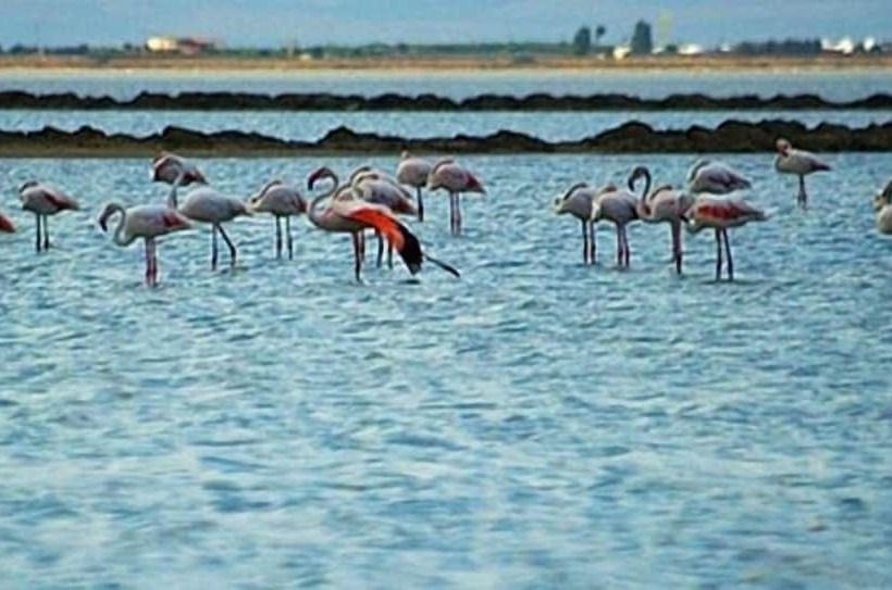 فندق Tenuta San Francesco