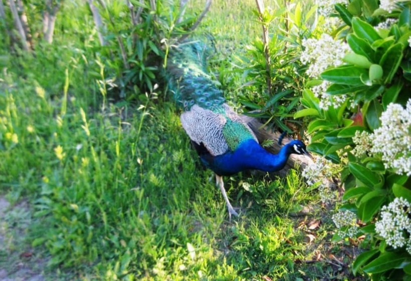 فندق Tenuta San Francesco