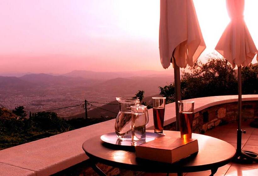 酒店 The Lotus Tree