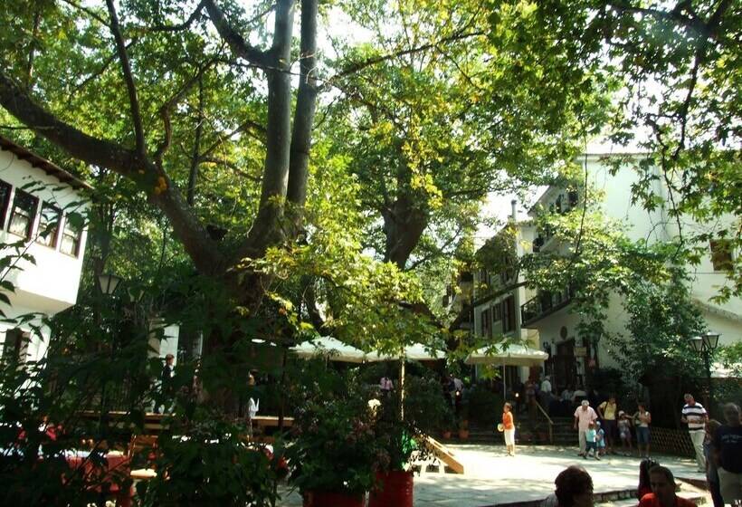 هتل The Lotus Tree