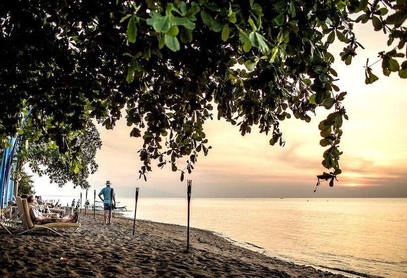 בית מלון כפרי The Lovina