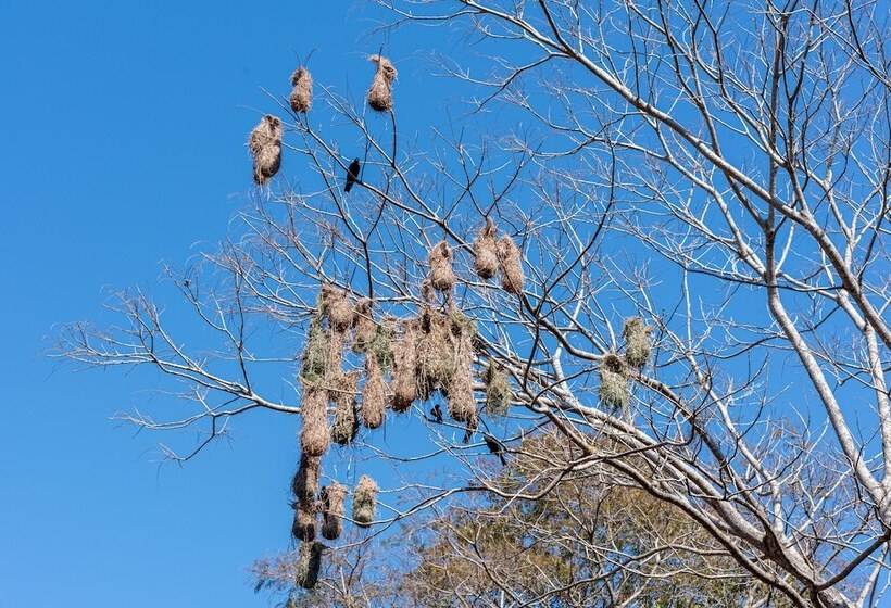 Отель Village Cataratas