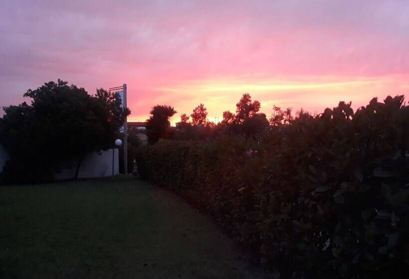 The Beach House   Apartments & Studios