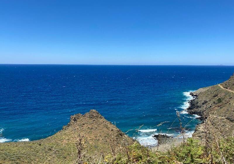 Palazzo Arhontiko Apartments