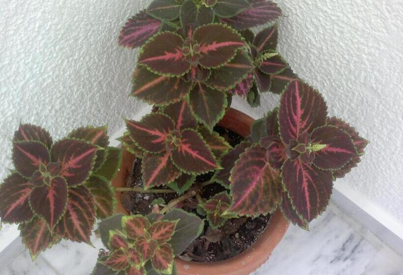 Pyrgos Hotel Apartments