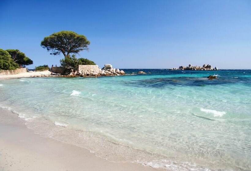 إقامة Résidence U Pirellu