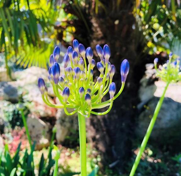 Резиденция Côté Océan Resort