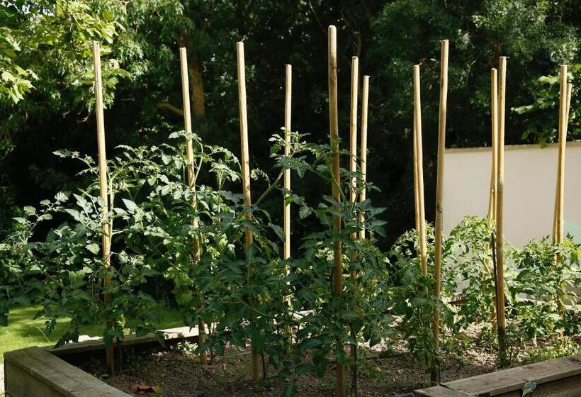 Резиденция Côté Océan Resort