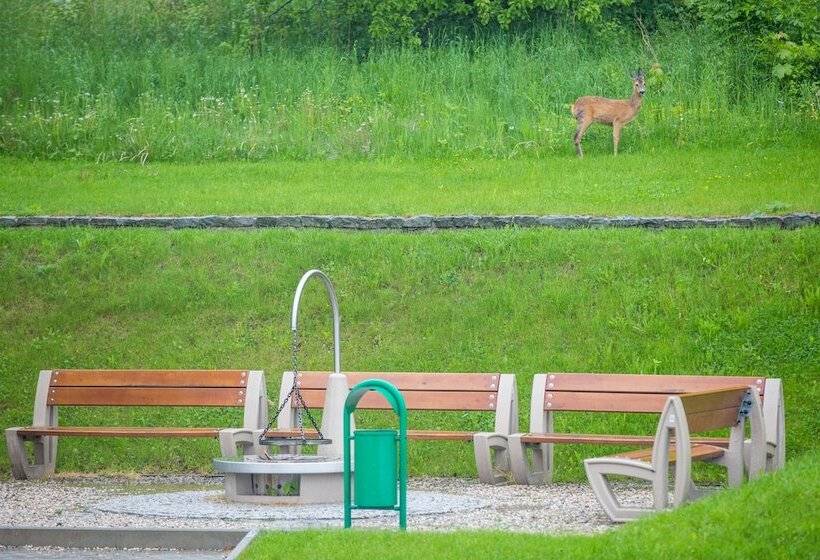 Spa & Wellness Hotel Diament Ustroń