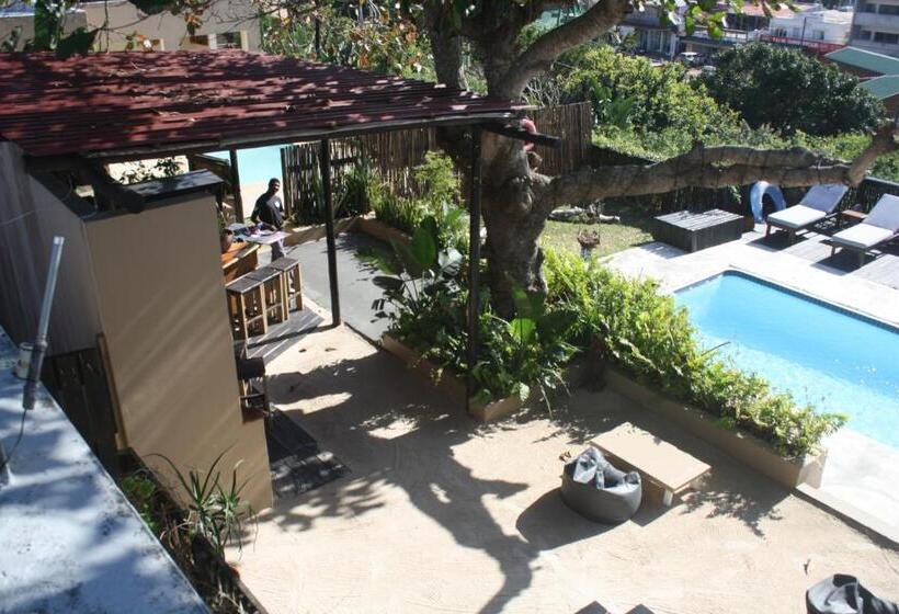 Planet Scuba Bed And Breakfast