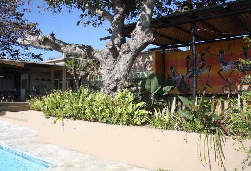 Planet Scuba Bed And Breakfast