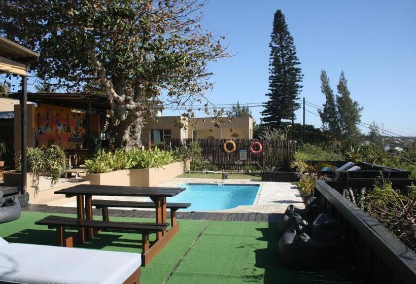 Planet Scuba Bed And Breakfast