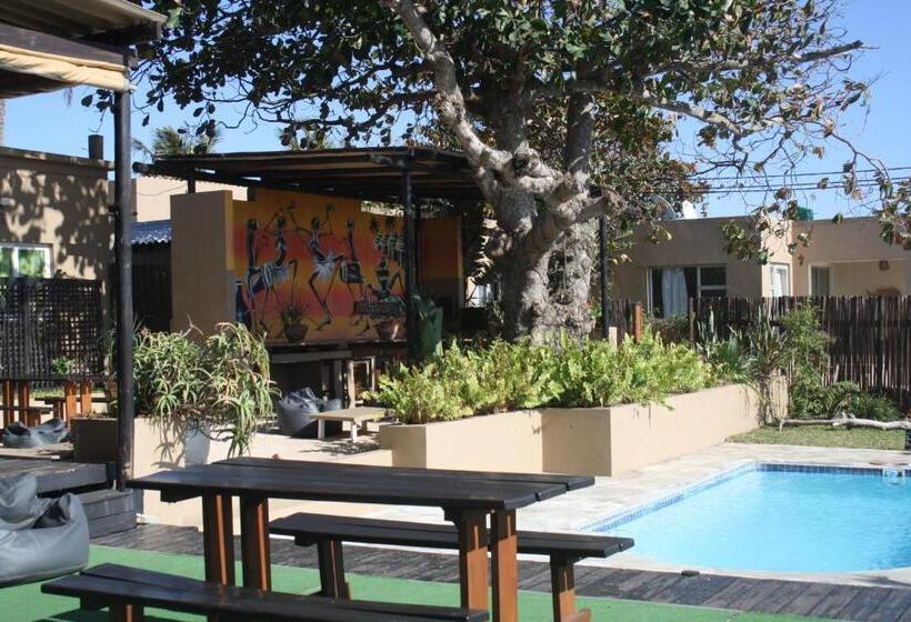 Planet Scuba Bed And Breakfast