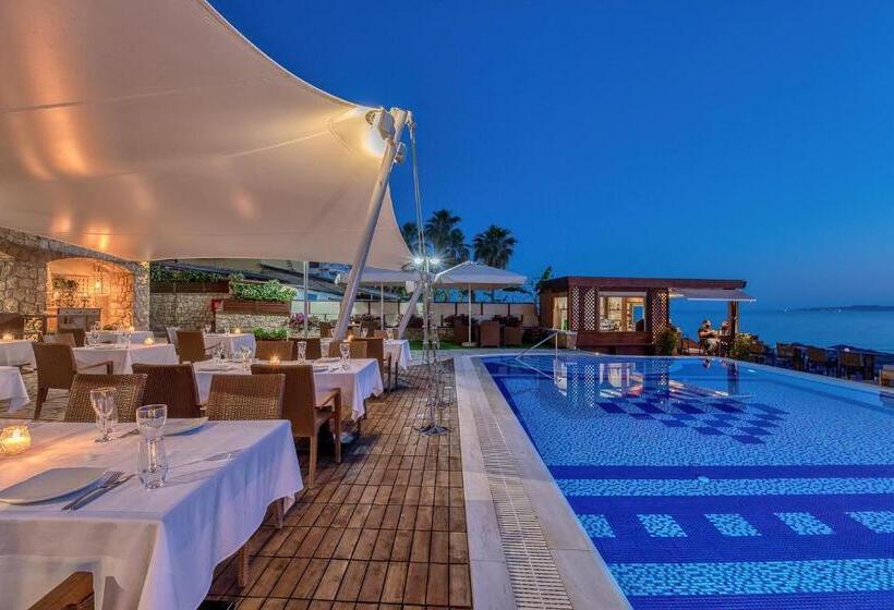 בית מלון כפרי Almira