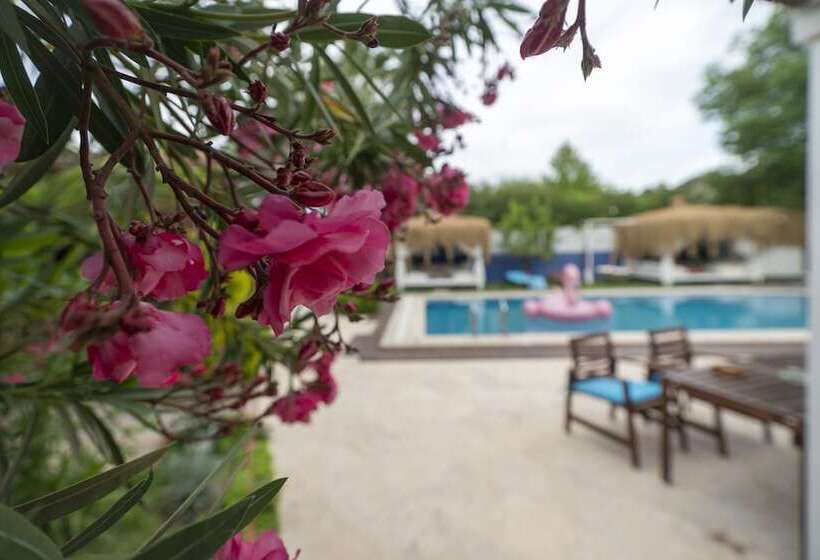 Отель B&b Boutique