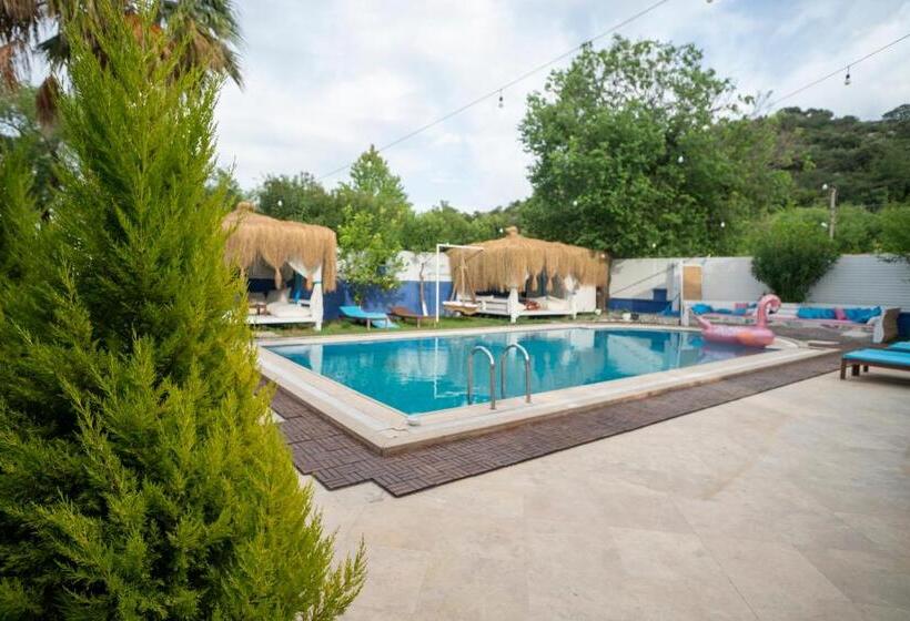 Отель B&b Boutique