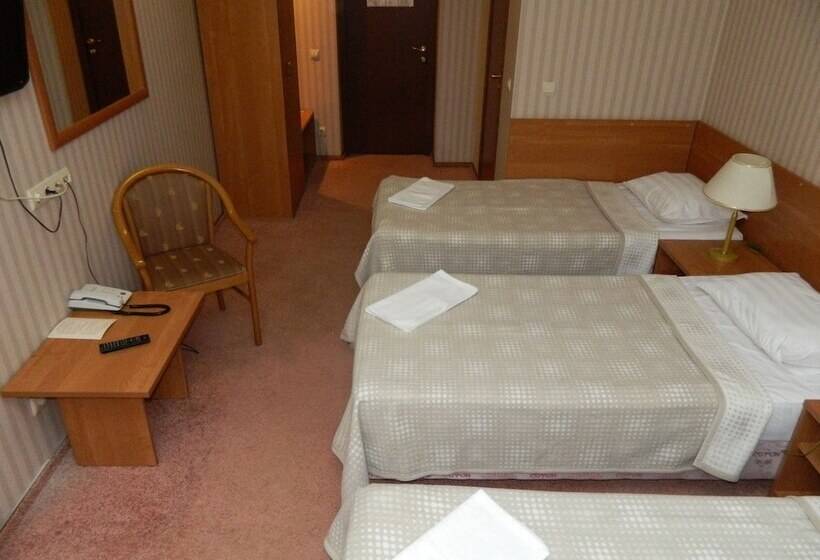 هتل Bogemia Business