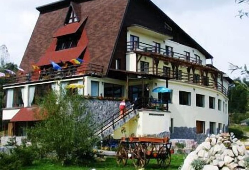 Отель Bran Belvedere International