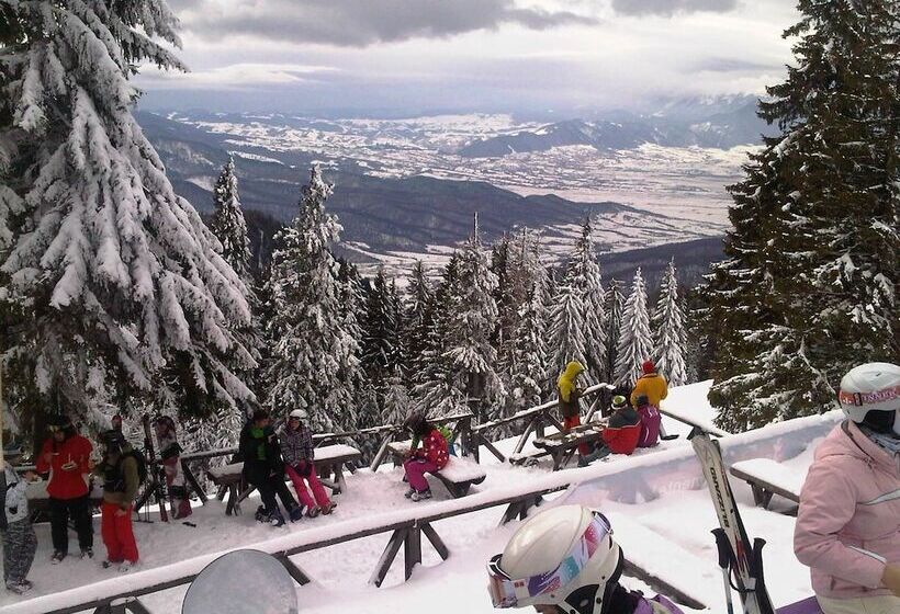 Отель Bran Belvedere International