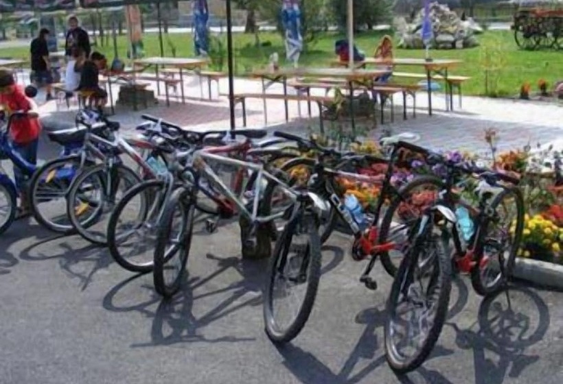 Отель Bran Belvedere International