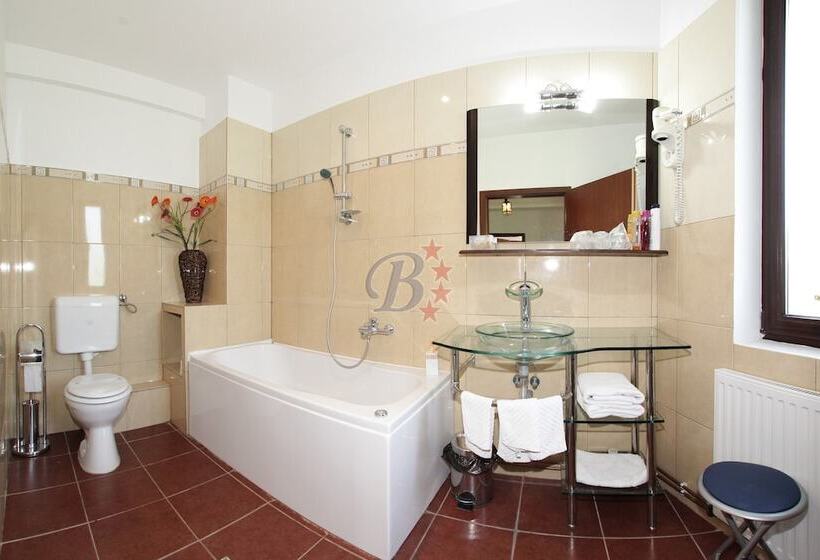 Отель Bran Belvedere International