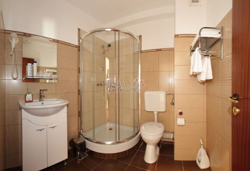 Отель Bran Belvedere International