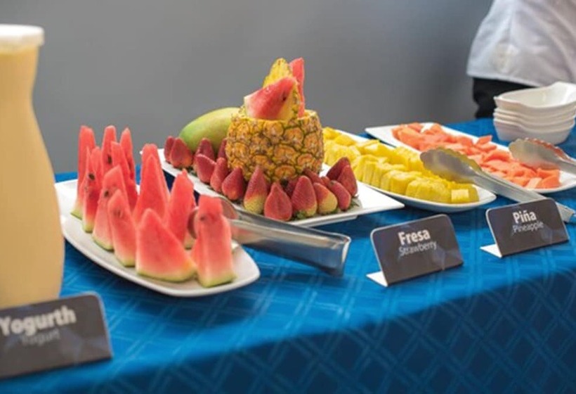 בית מלון כפרי Buena Vista