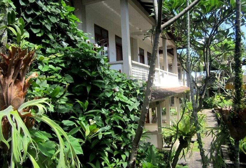 فندق Casa Ganesha