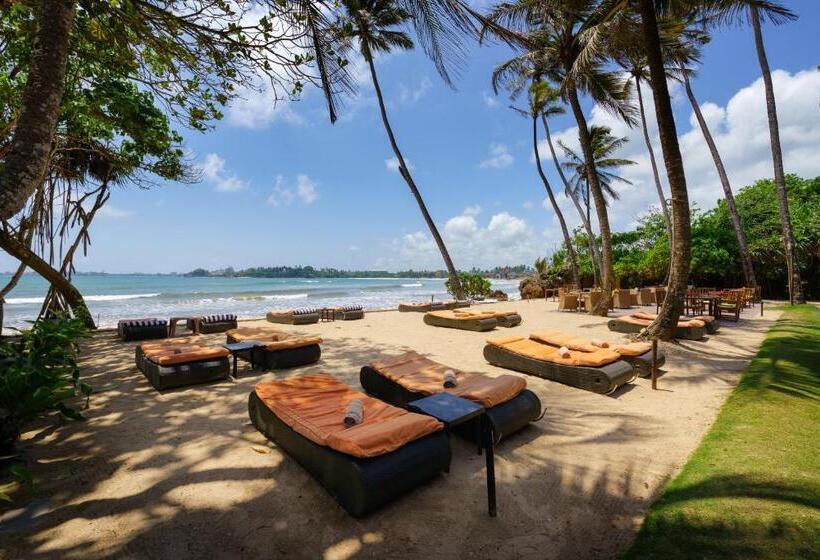 酒店 Cocobay Unawatuna