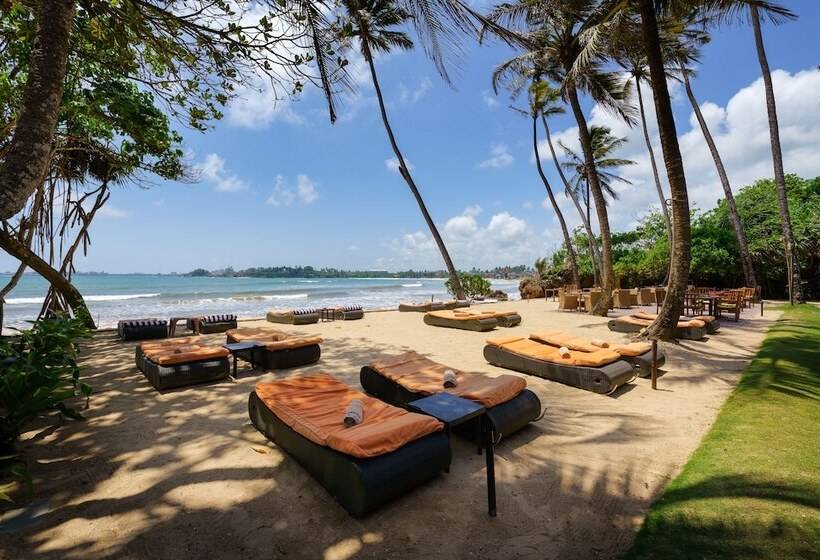 酒店 Cocobay Unawatuna