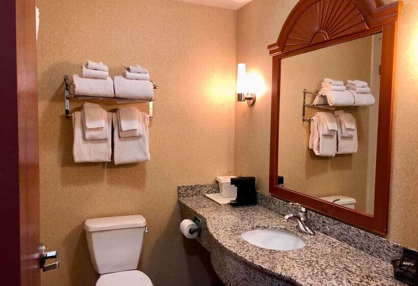 酒店 Comfort Inn Ogden Near Event Center