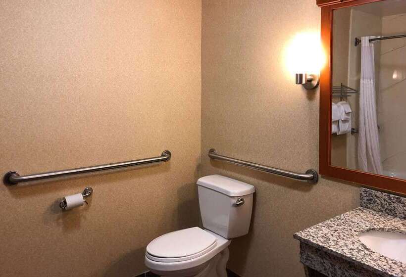 酒店 Comfort Inn Ogden Near Event Center