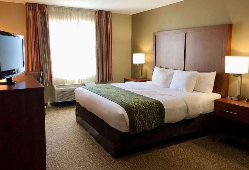 酒店 Comfort Inn Ogden Near Event Center