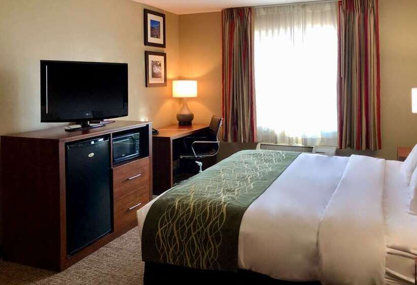 酒店 Comfort Inn Ogden Near Event Center