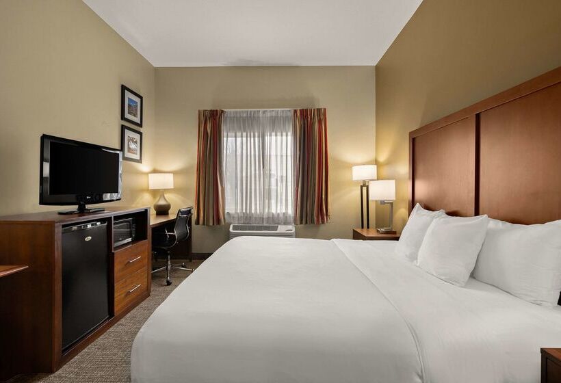 酒店 Comfort Inn Ogden Near Event Center