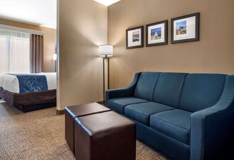 فندق Comfort Suites Pell City I 20 Exit 158