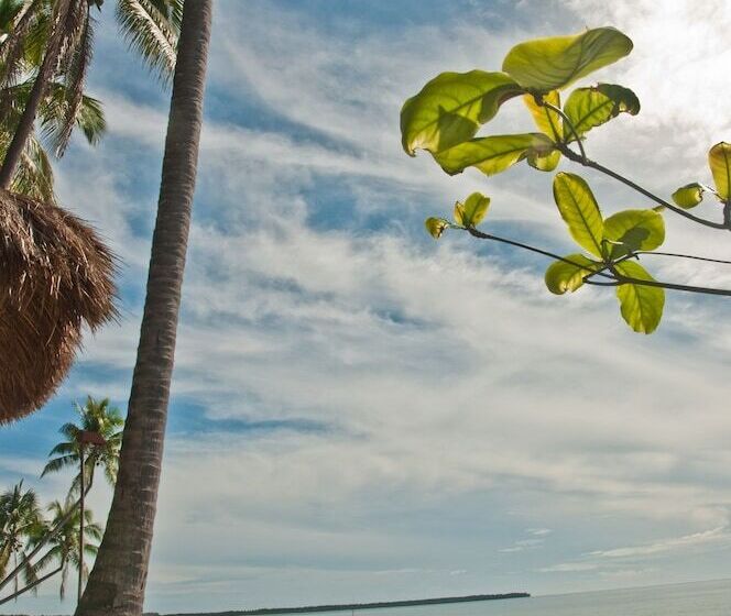 هتل Crystal Paradise Resort, Spa & Winery