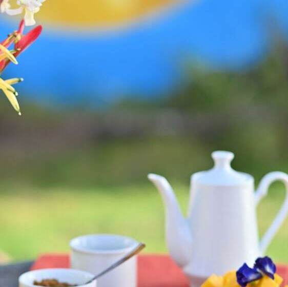 هتل Crystal Paradise Resort, Spa & Winery