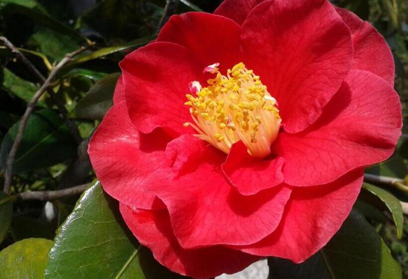 호텔 Domaine De Kereven