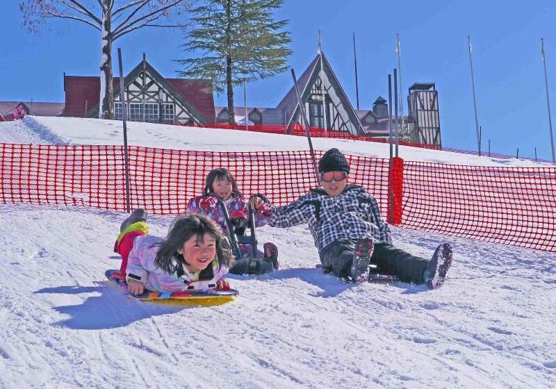 فندق Green Plaza Joetsu