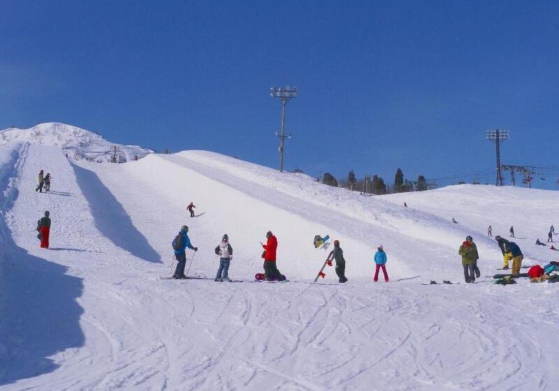 فندق Green Plaza Joetsu