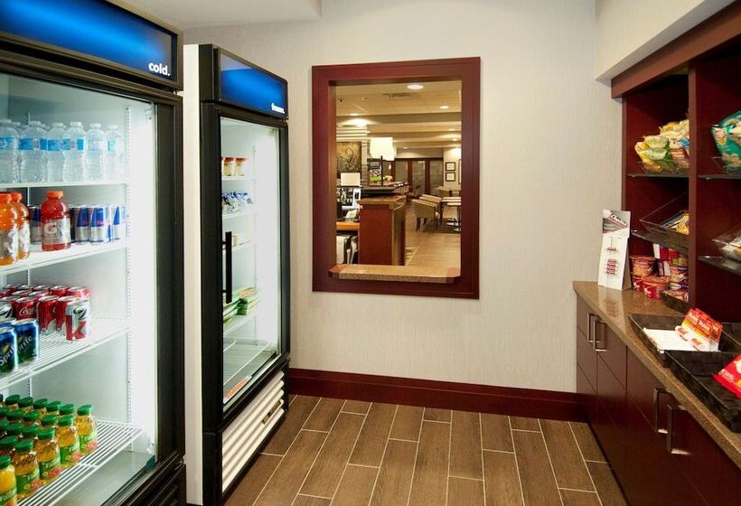 בית מלון כפרי Hampton Inn By Hilton Brampton Toronto